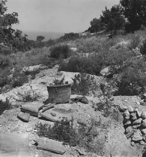 Δροσίζεται από τη θάλασσα στα βόρεια και από τον Πενταδάχτυλο στα νότια.