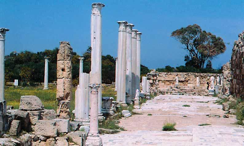 AMMOXOSTOS NEW:Layout 1 9/3/12 5:48 PM Page 195 Κιονοστοιχία και αγάλματα της ανατολικής στοάς του Γυμνάσιου της Σαλαμίνος. Φωτ.: Βούλα Κοκκίνου.