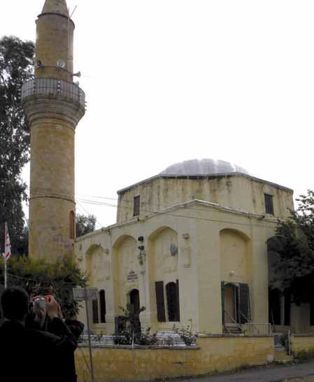 Στην περιοχή ευδοκιμούσε μεγάλη ποικιλία άγριων και ήμερων φυτών και λουλουδιών, όπως η μοναδική «ορχιδέα της Λαπήθου», τα γιασεμιά και τα κυκλάμινα.