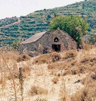 Το πράσινο της Λαπήθου, εκτός του ότι μειώθηκε λόγω παράνομου οικοδομικού οργασμού, είναι απεριποίητο.