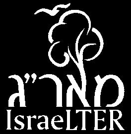 לניטור