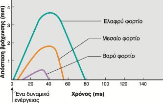 Σύσπαση μυϊκής ίνας ισοτονική συστολή Στην ισοτονική σύσπαση λανθάνων χρόνος & μέγεθος σύσπασης εξαρτώνται από το