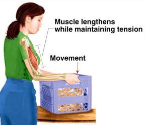 Έκκεντρη συστολή (επιμηκυνόμενη) ο μυς αναπτύσσει τάση