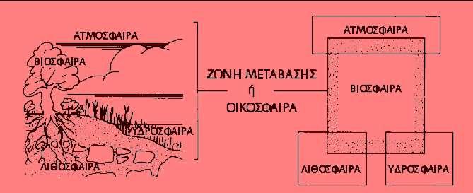 Η ΣΧΕΣΗ ΜΕΤΑΞΥ ΑΤΜΟΣΦΑΙΡΑΣ, ΥΔΡΟΣΦΑΙΡΑΣ, ΛΙΘΟΣΦΑΙΡΑΣ ΚΑΙ ΒΙΟΣΦΑΙΡΑΣ Τα συστήματα αυτά αλληλεπιδρούν και δημιουργούν ένα