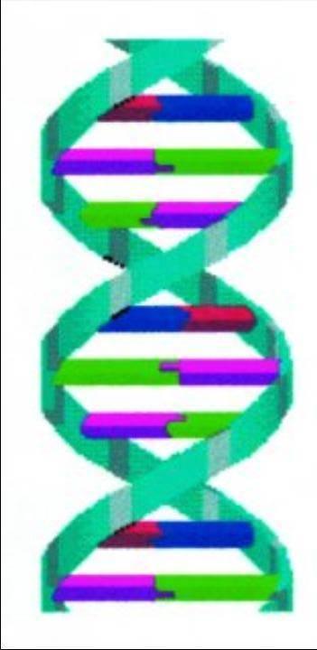 Representación da estructura