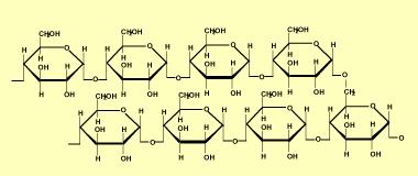 Concepto de Macromolécula, Monómero e Polímero Macromolécula: biomolécula grande, masa superior a 10 4 da