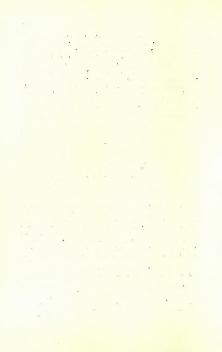 202 Άνδρέου Ξυγγοπούλου ένα πίνακα, δεικνύει τό ενταύθα παρατιθέμενου διάγραμμα (Είκ. 1), έν τφ όποίορ έλήφθη ως βάσις ή χρονολογική σειρά των εκ τοΰ βίου τοΰ Ίωσήφ παριστανομένων επεισοδίων.