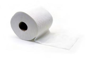 010064 MAXI 2ply Toilet Paper DECO 8 Rolls - 3010010-56gr MAXI 3ply Velour Toilet Paper - 125gr χ
