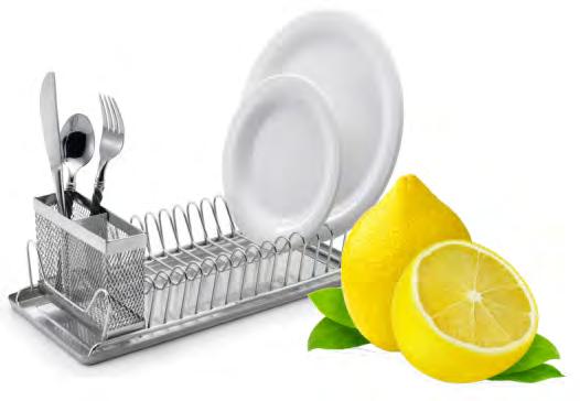 202505 001284  Lemon -