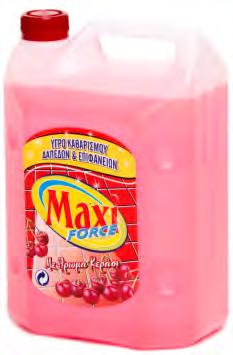 202505 001987 MAXI