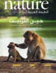 العالم
