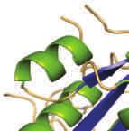 أبحاث ملخصات األبحاث العمل الطرق لتصمم دوائر متكاملة وقابلة للبرمجة. Genetic programs constructed from layered logic gates in single cells T Moon et al doi:10.