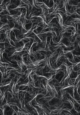 The Mu transpososome structure sheds light on DDE recombinase evolution S Montaño et al doi:10.