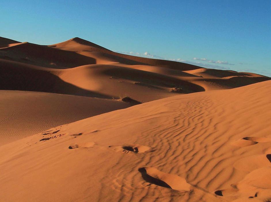... 3... BASAMORTUA ETA BASAMORTUTZEA Mila eta bat Sahara Rementeria Argote, Nagore Elhuyar Zientziaren Komunikazioa Irudi erromantikoa du Saharak. Munduko paisaiarik ederrena da batzuen ustez.