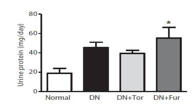 Loop diuretics