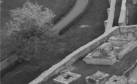 патријарха, о чему ће такође бити речи мало касније.