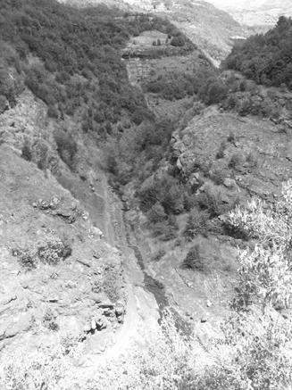 Слика 14 Топлодолска река низводно од насеља Топли До (фото Б. Вакањац) Figure 14 Toplodolska river downstream from the village Topli Do (photo by B.