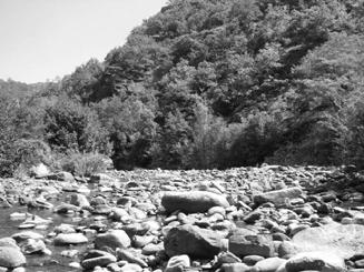 Слика 17 Топлодолска река непосредно пре спајања са Височицом Figure 17 Toplodolska river immediately before its merging with Visočica river Слика 18 Место спајања Топлодолске реке и Височице Figure