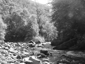 the flow, height of the spring, height of the estuary and total slope and decline of the selected Toplodolska river basin flows речни ток дужина Lt Hmax Hmin укупни пад I ( ) Топлодолска река
