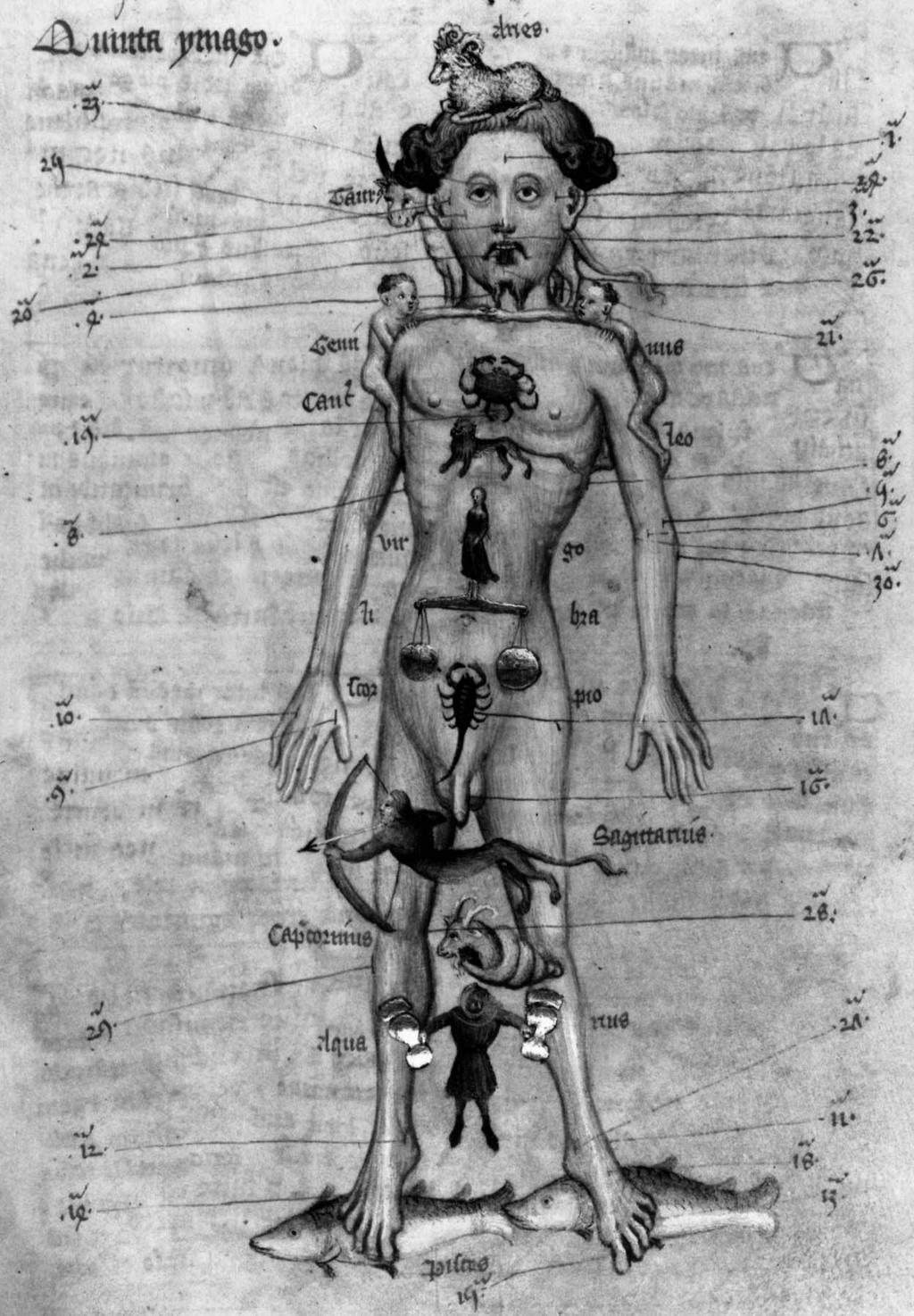 Mercur, Venus, Marte, Jupiter, Saturn, la început apoi şi Uranus, Neptun şi Pluto.