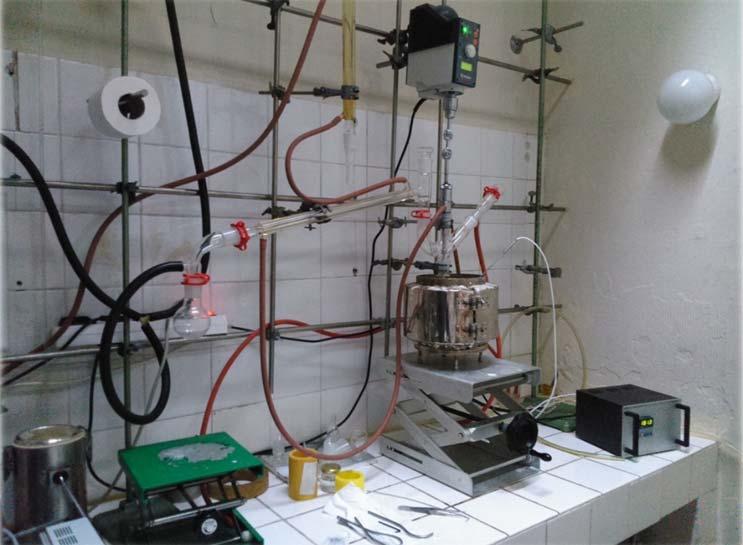 Εικόνα 54: διάταξη in situ πολυμερισμού διάνοιξης λακτιδίου 6.