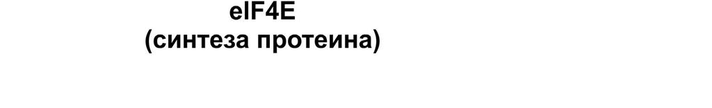 (митогенактивирајућа протеин киназа) сигнални пут.