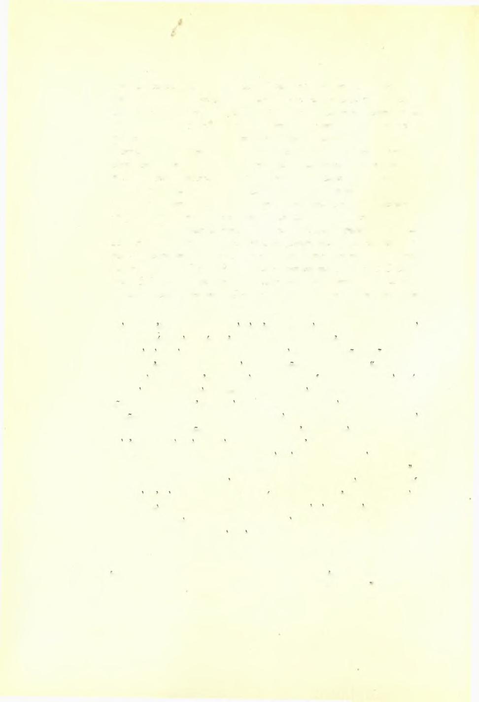 528 Στέργ.