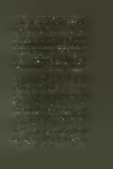 qual doveva cascar quel Regno, al presente assediato da tanta sorte di Corsari, quando da se stesso non havesse havuto modo di cavar gram per it bisogno da un anno au altro; con questa santissima