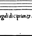 των Altus και Bassus