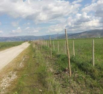 850 στρεμμάτων, με προστασία των ζωνών διατήρησης και των ακαλλιέργητων λωρίδων γης