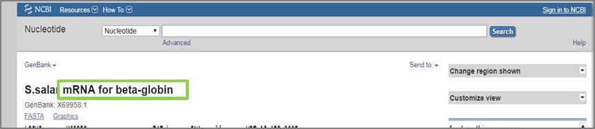 Εικόνα 4. Ενδεικτική προβολή του περιηγητή NCBI. Αναζήτηση της αλληλουχίας του mrna του γονιδίου της β-σφαιρίνης (b-globin).