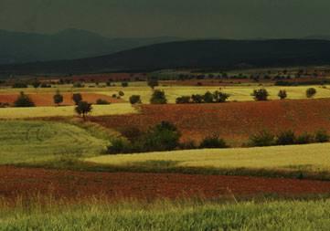 Μέτρα Οι αναγκαίες δραστηριότητες για το Δίκτυο ΦΥΣΗ 2000 είναι επιλέξιμες στα διάφορα προγράμματα.