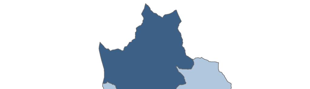aneamento (N.S.P.) como figura de planeamento xeral, 5 contan con Normas Subsidiarias Provinciais de Planeamento (N.S.P.P.), mentres que os só un concello se rexe por un Plan Xeral de Ordenación Municipal.