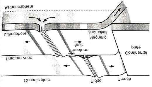 1.4 Σεισμικότητα Γεωγραφικών Περιοχών Φυσικά φαινόμενα, όπως οι ισχυροί σεισμοί, μπορούν να αποβούν καταστροφικά για το δομημένο περιβάλλον.