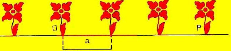 3 -شبکه های