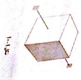 دانشگاه