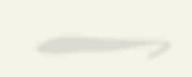 . هو كل ما تطلبه ا أ المر ا آ ال لتتبع شاط المخ حث تمك رق متعدد الخبرات م الزائ وعلماء ا أ العصاب والكمائ م زرع شبكة حررة ملوة مرص عة بأجهزة إلكتروة صغرة جد ا أدمغة الئرا تتوغ ل بها للتتجسس على الخلا