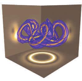 1073/ pnas.1318271110 (2013) أكبر أزهار العالم تنمو بطرقتن مختلتن. نباتات رالسا Rafflesia وسابرا Sapria مجموعتان من عائلة رالسا كاث keithii ) الصورة(.