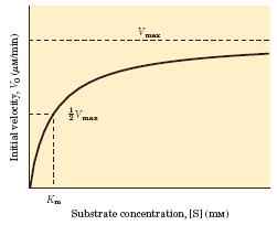 krivulja- Michaelis-Mentenov encim (eno samo aktivno mesto ali več