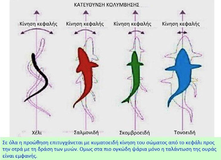 ΓΝΩΡΙΜΙΑ ΜΕ ΤΟ
