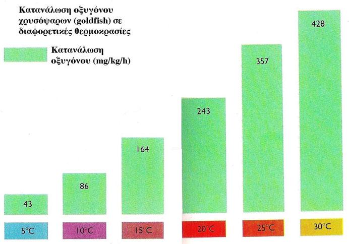 Η κατανάλωση οξυγόνου