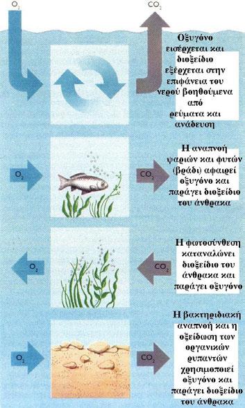 Ισοζύγιο οξυγόνου και