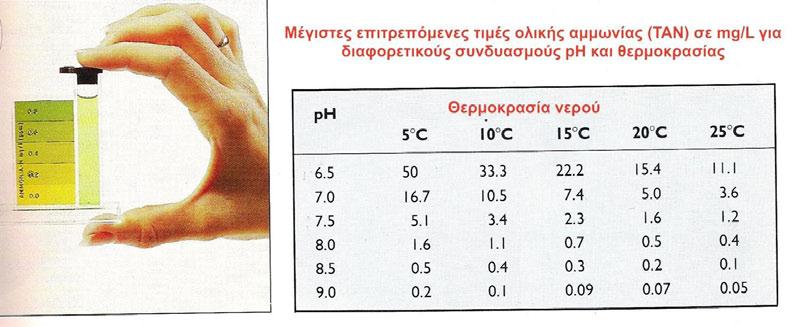 Η ολική αμμωνία (Τ.Α.Ν.