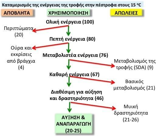 Πανόραμα