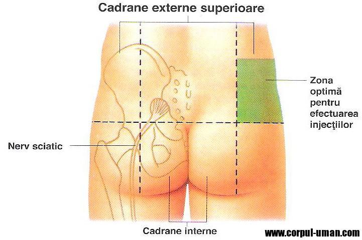 ~ Se retrage acul fără a aplica tampon la locul puncţiei. ~ Se ordonează materialele folosite.
