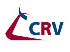 CRV, ο συνεργάτης σου σε κάθε βήμα Η ικανότητα της CRV βασίζεται στην αποτελεσματικότητα των ταύρων της.
