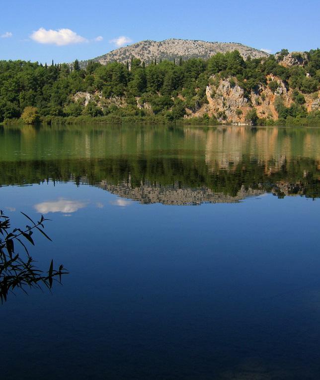 5 Η ΕΤΉΣΙΑ ΓΕΝΙΚΉ ΣΥΝΈΛΕΥΣΗ ΔΙΚΤΎΟΥ