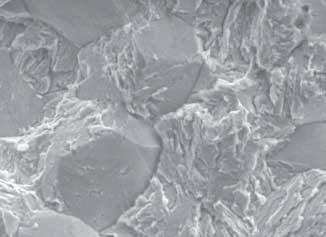 Fig. 7 Scanning electron micrographs of (a, b