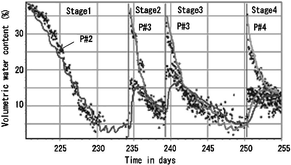 +. TDR 1 TDR +. Delphin. Delphin. +* +. Fig. +* Measured volumetric water content and calculated (Stage +.).