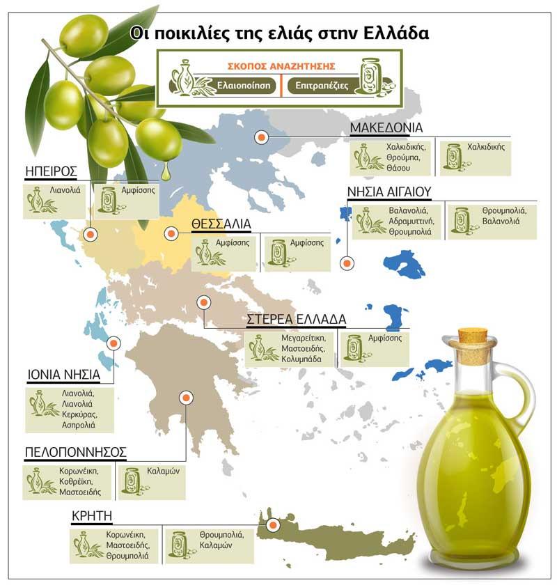 Εικόνα 1: Ποικιλίες ελιάς στην Ελλάδα Πηγή: